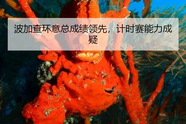 波加查环意总成绩领先，计时赛能力成疑